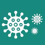 virus
